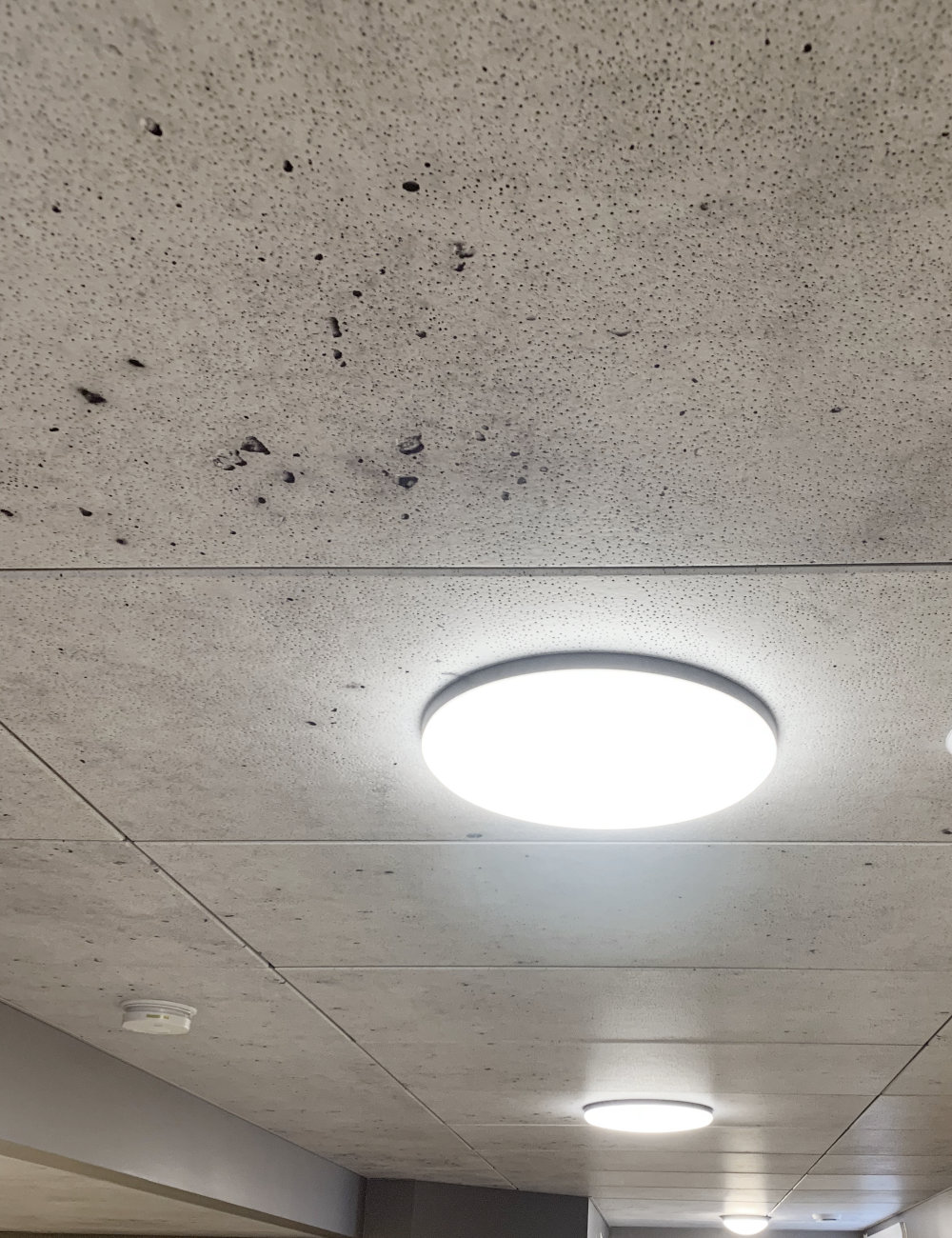 Concrete Ceiling